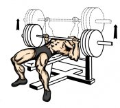 bench-press.jpg